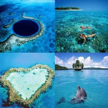 1608690029284495.jpg 2_副本.jpg