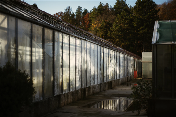 1609923330609475.png 微信圖片_20210106165417.png