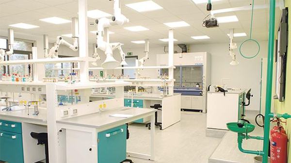 1610596172249204.jpg 3.jpg