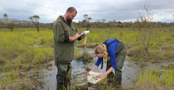 1611286460114396.png 2.png