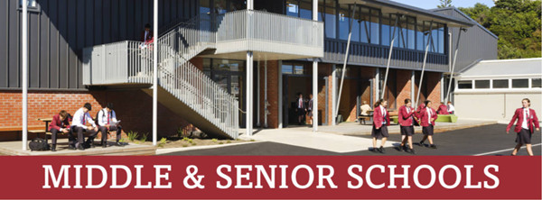 1615280357990352.jpg 3.jpg