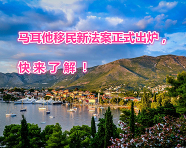 1617330572899216.jpg 1.jpg