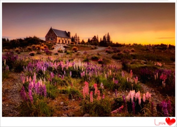 1617763147412469.jpg 2.jpg