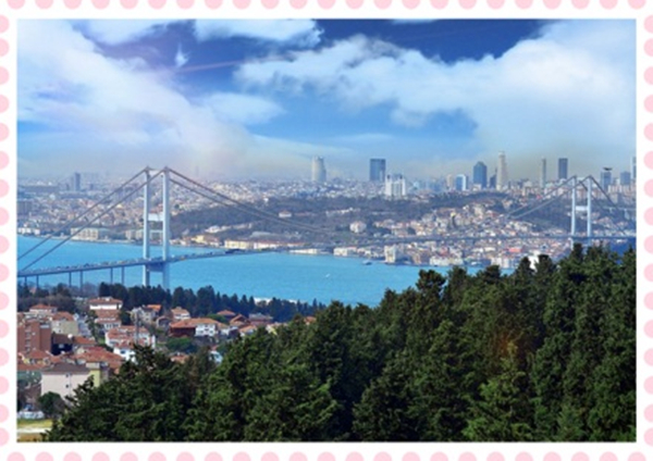 1617844211270651.jpg 3.jpg