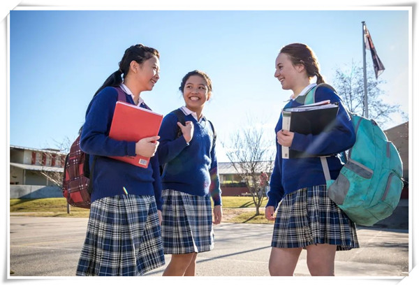 1623310542250964.jpg 1.jpg