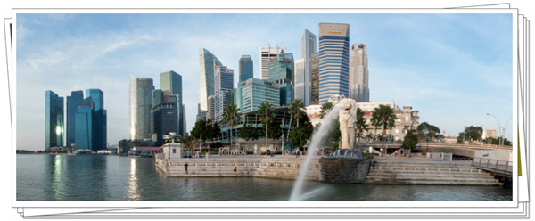 1625110300147306.jpg 1.jpg