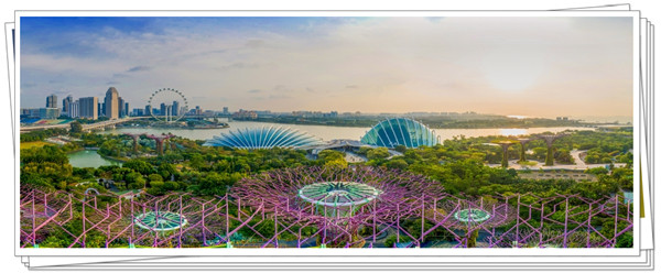 1625110320982849.jpg 3.jpg