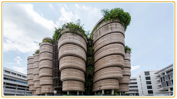 1632446648601818.jpg 3.jpg