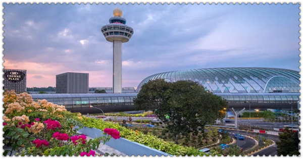 1635217467782959.jpg 1.jpg